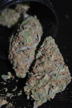 dank-fiend:  Animal Cookies 