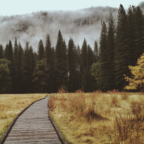 danielodowd:  kylieturley.vsco.co