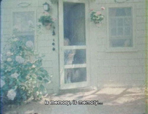 365filmsbyauroranocte:As I Was Moving Ahead Occasionally I Saw Brief Glimpses of Beauty (Jonas Mekas