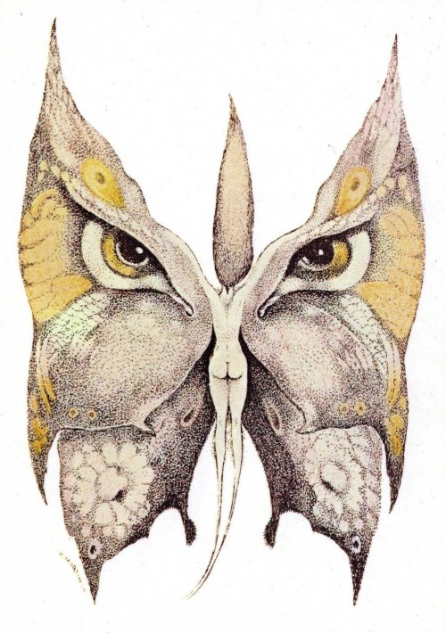 owlsstuff:  More irresistible owls here: http://ift.tt/JQ5da3 Photo source (http://ift.tt/1Bp4G2S)