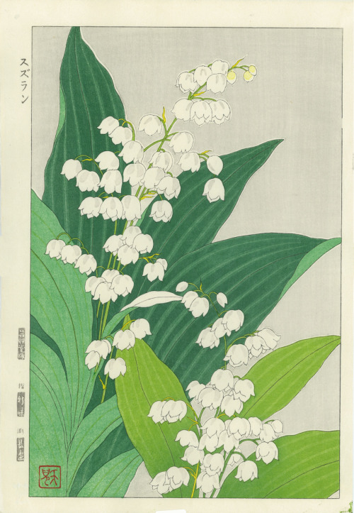 japanese-plants:Lily of the valley by Kawarazaki