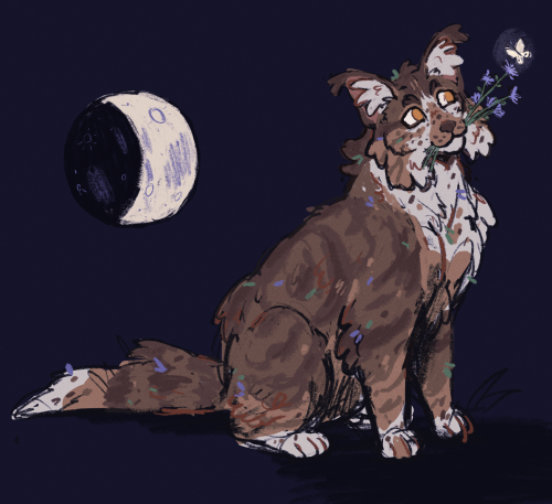 Leafpool, a speckled brown tabby cat, sits while holding pale blue chicory flowers in her mouth. She smiles as a pale white moth is attracted to the flowers. Behind her is a half-full moon.