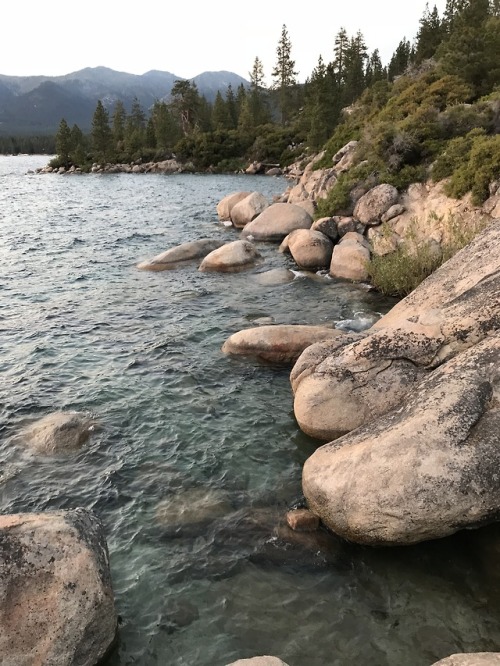 Lake TahoeNevada, July 2018After leaving Yosemite we spent the night at Lake Tahoe! So beautiful!&co