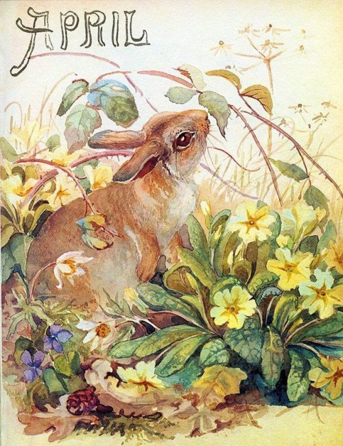 pagewoman: April by Edith Holden