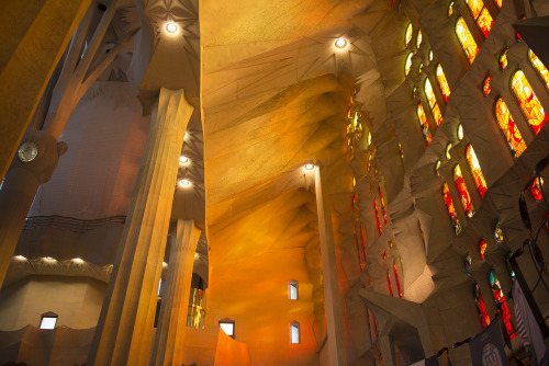 unbelievable, magic light at the majestic sagrada familia, barcelona. left me speechless. 