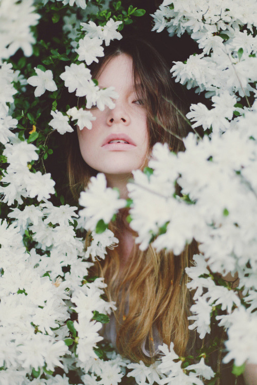 amazed:  larceny:  (ﾉ◕ヮ◕)ﾉ*:･ﾟPersonal blog! ✧    I follow back everyone! ♡ 