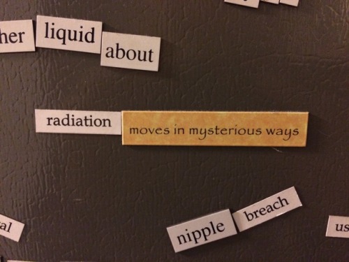 our house has four fridge poetry sets: erotic fridge poetry (gift from my mother), star trek fridge 