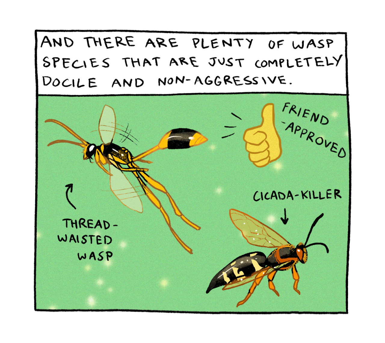 bumbledeefumble:symbolone:this has been a wasp psa