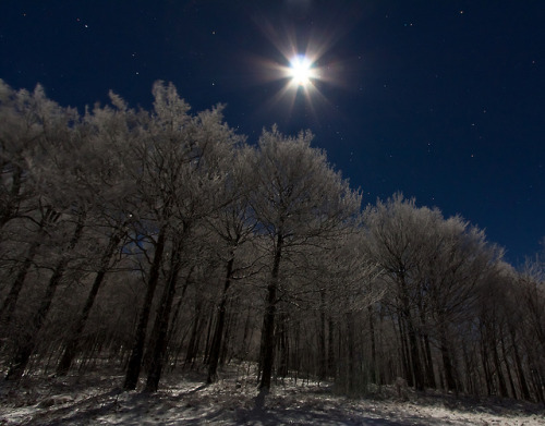 outdoormagic:Siler’s Bald Moon by pvarney3 on Flickr.