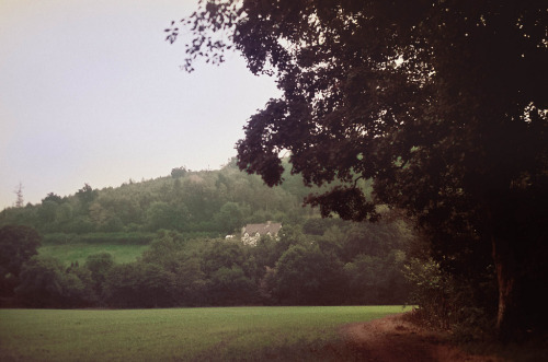 jacindaelena:    by Oliver Liria