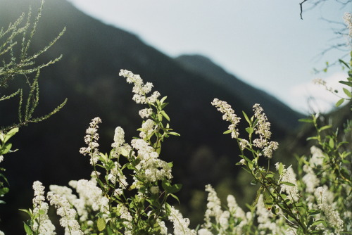 Its been a few weeks since I&rsquo;ve been home from Tassajara Zen Mountain Center. Coming back 