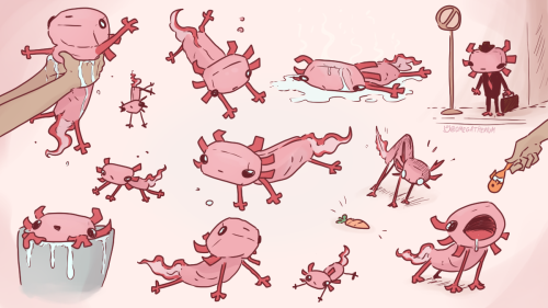 minecraf axolotls bring me joylook at them