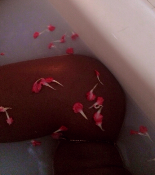 afreedomtoexpress:Be delicate with my love, for it is as sacred as earth, as gentle as petals to my favorite flower. My love must be honored as nature, for it is a reflection of changes, cycles and continuous growth. My body is nothing more than a sacred