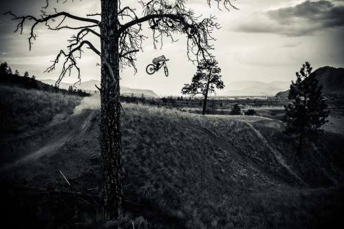 chirosangaku:  Photo of the Day: Dan Barham -December 6, 2013