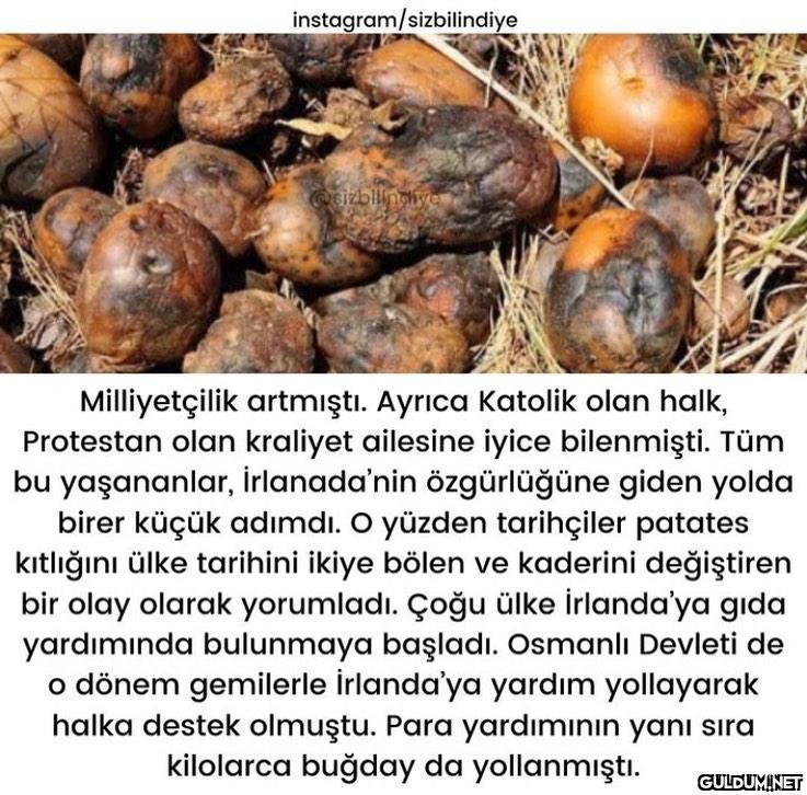 Patates diyip geçmeyin :)...