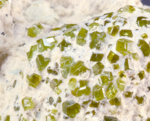 Andradite var. Demantoid on Asbestos- Ristoro di Campo Franscia, Valmalenco, Sondrio Provimce, Lomba