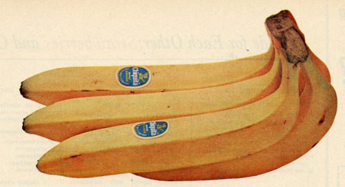 humblewonder:Chiquita ad 1965
