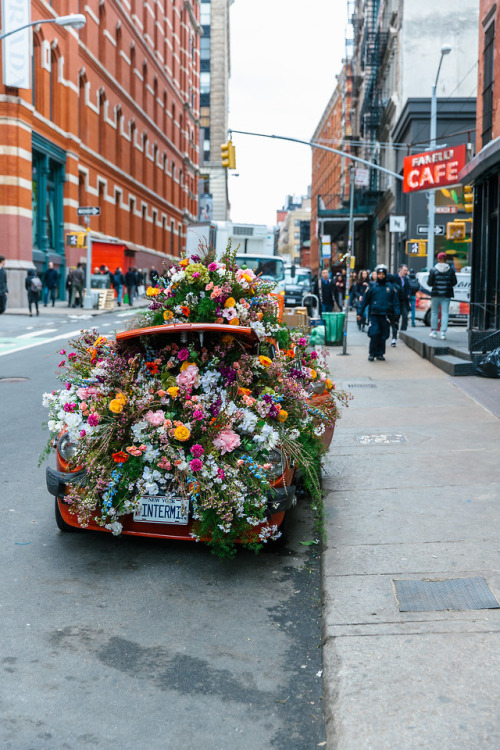 samhorine:  spring has sprung // soho, march adult photos