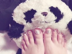 wvfootfetish:  sarahsfeet:  One of my foot fans requested I take a photo of my feet on a teddy bear. So, here it is! Teddy #1 ft my feetsies &lt;3  Gorgeous feet