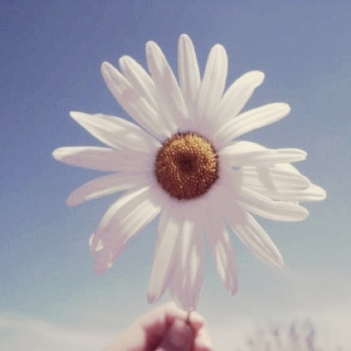 I love to love you
