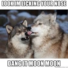 silvergryphon:tokenofmydevotion:feral-flower-child:feral-flower-child:feral-flower-child:callingallcars:callingallcars:everyone’s debating posts of the decade, best and worst, and i have yet to see anyone mention moon moonfor those who were not on here