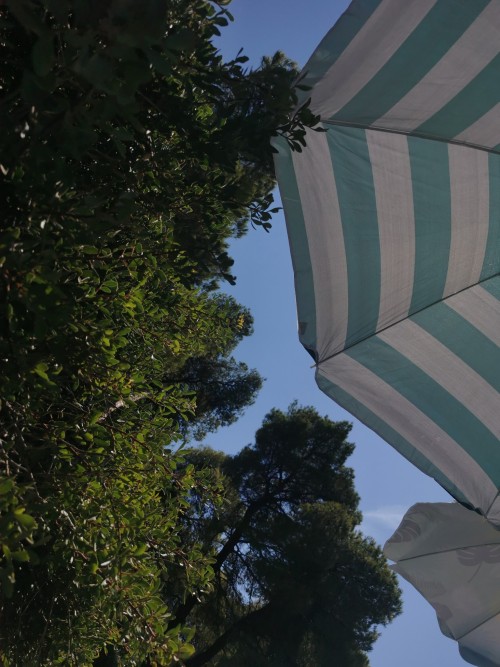 "Summer Breeze Makes Me Feel Fine, Blowin' Through The Jasmine In My Mind..."
