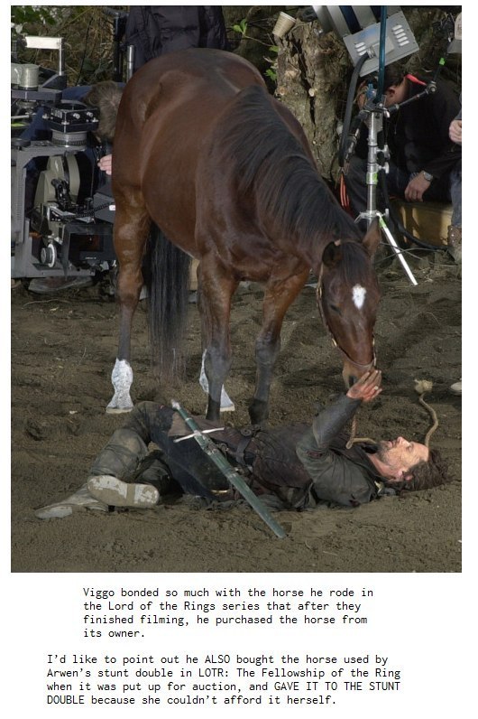 wonderlandgirlforever:  Aragorn and Brego 