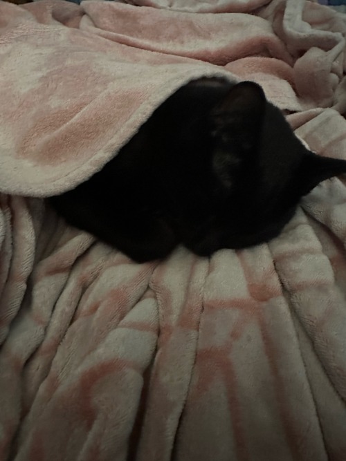 Egypt Take Nappy Nap