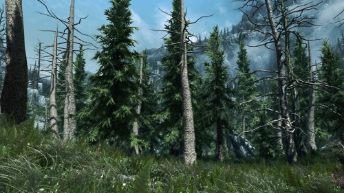 belmontswhip:Falkreath is Love, Falkreath is Life