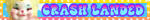 Alternative Text