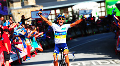cohlehart:  reasons you should be watching the tour de france:  Alberto Contador (Tinkoff-Saxo, All-