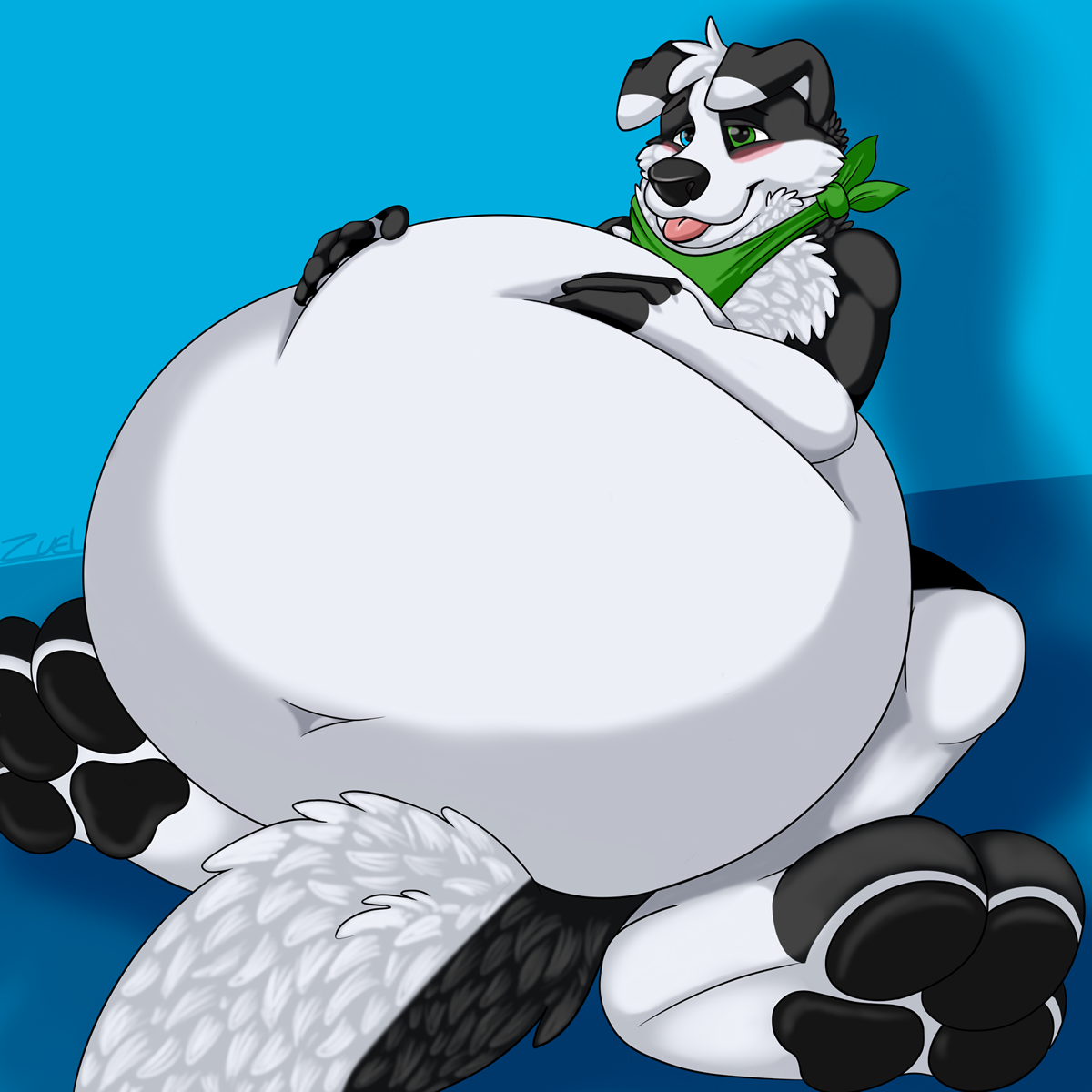 Collie PuffArtist:  Zuelansi    On FA    On TwitterCommission for PuffCollie