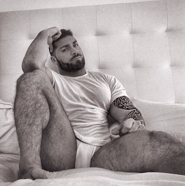 Hot, Hung & Hairy