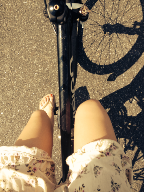 acreativeexpression:  Camera: iPhone 4s