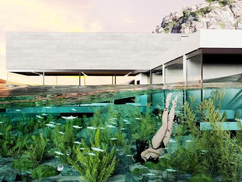 The Amphibian House by Envisarch