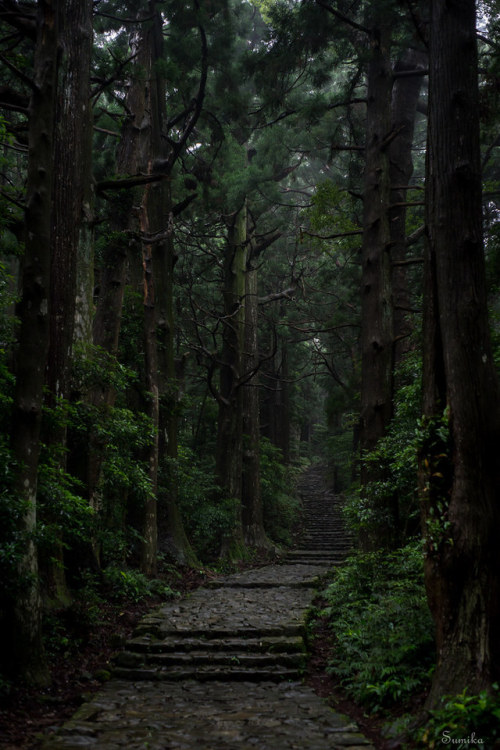 satakentia: Peace of the Woods 熊野古道 Pilgrimage Trails, Kii Peninsula, Japan by sumika❀