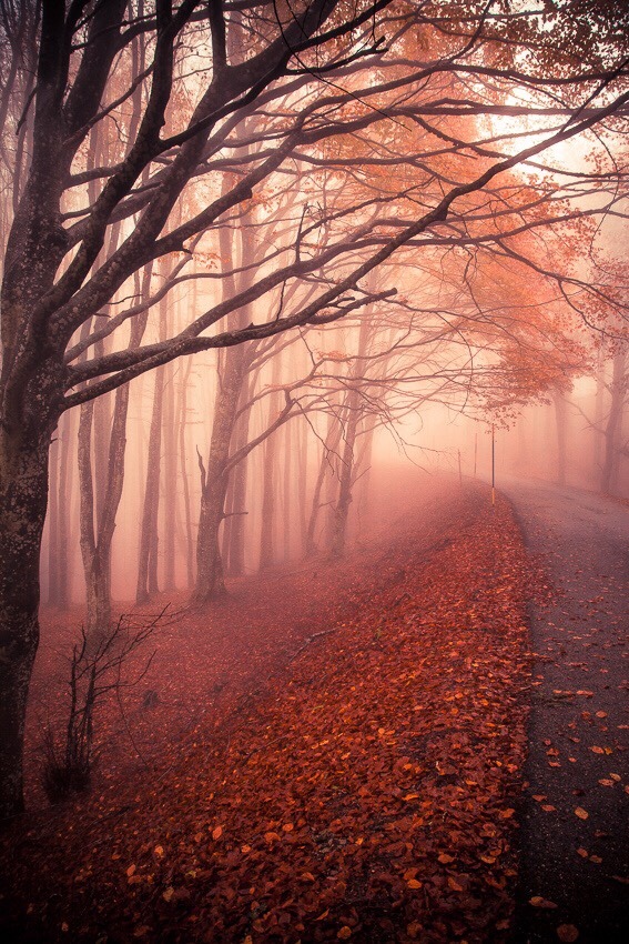 O Hushed October Morning Mild
