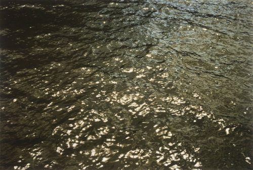 XXX rthko:  Roni Horn, Images from “Some Thames” photo