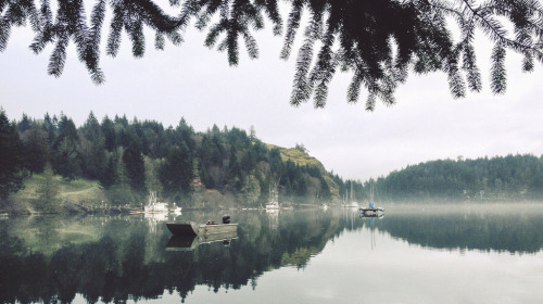 englishsnow:   Tyler Forest-Hauser 
