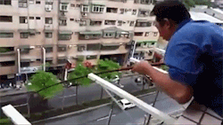 sizvideos:  Man catches a fish from its balconyVideo