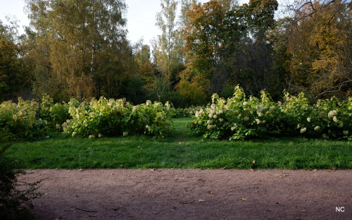 Paths of autumn.