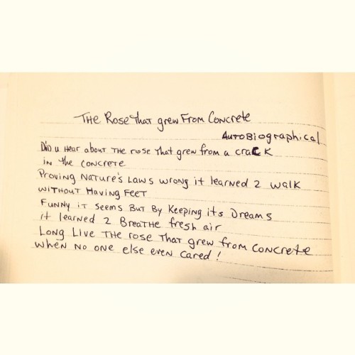 “The Rose That Grew From Concrete” by #TupacShakur