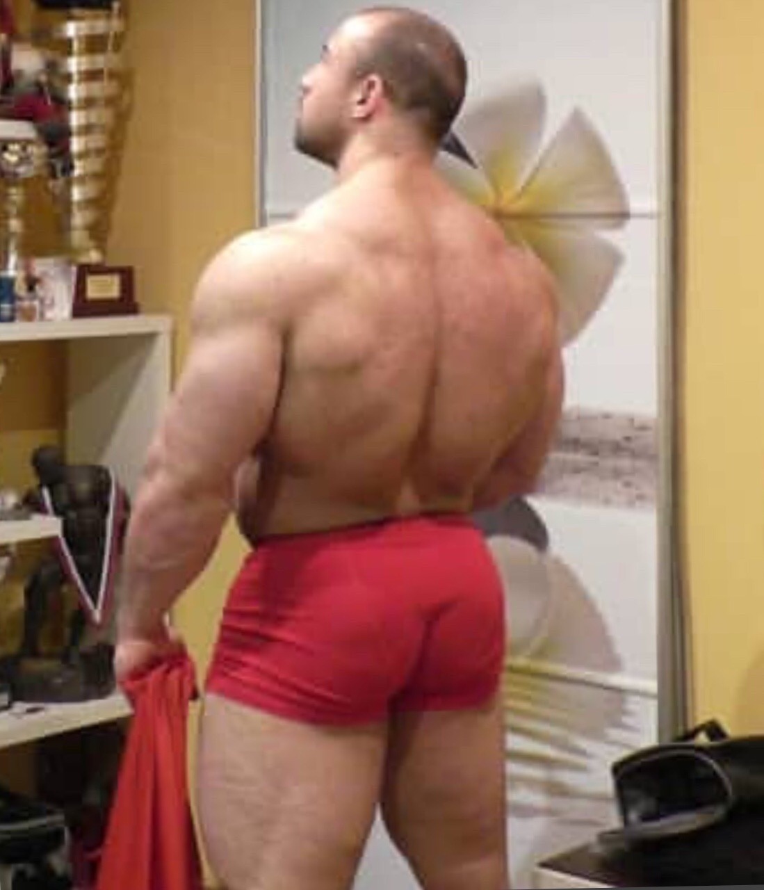Igor Illés 