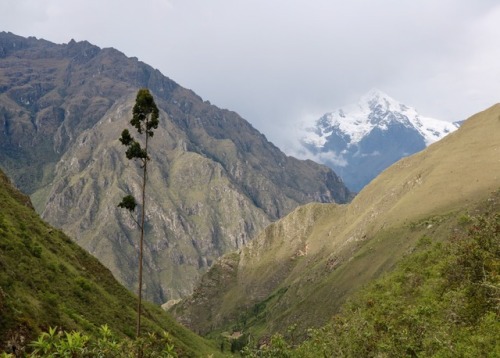 Inca TrailWe were so glad that we decided to trek the Inca Trail - it was a huge challenge for both 