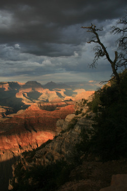 torace:  Sunset Grand Canyon (by MoMontyMisty)