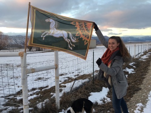 ladyofvillette: “Forth, Eorlingas!” Mum told me if I could find the flag of Rohan for her, she’d fly