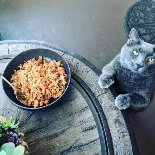 Trying to get a photo of dinner but caught the cat creeping instead.  Chicken fried cauliflower rice