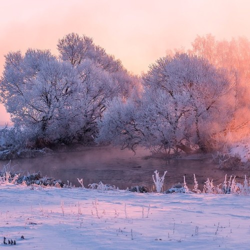 landscape-photo-graphy:  Photographer Captures the Pastel Pink and Blue Hues of a Snowy Landscape Photographer Alex Ugalnikov captures the soft hazy blue and pink hues of the snowy Belarus landscape. The morning fog, the gentle reflections of the snow