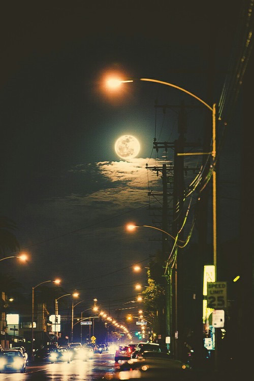 Thoughts & Memories
