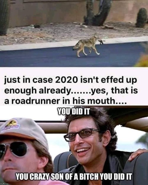 Remember to follow us for more  #humor #meme #funny #lol #lmao #geek #funFact #roadrunner #JurassicP